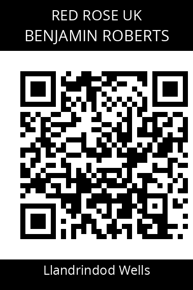 QR code for benjamin-roberts-1