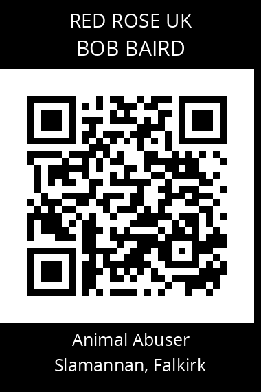 QR code for bob-baird