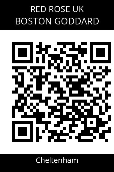 QR code for boston-goddard-sqiwst