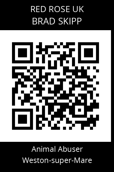 QR code for brad-skipp