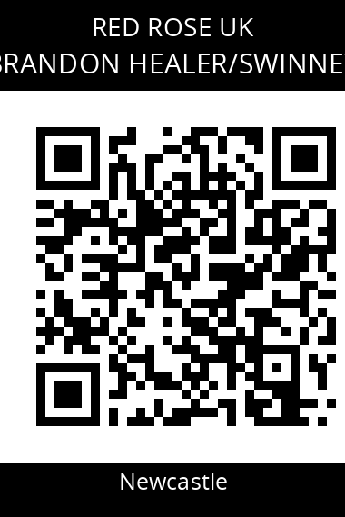 QR code for brandon-healerswinney