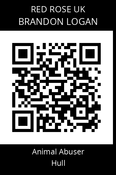 QR code for brandon-logan