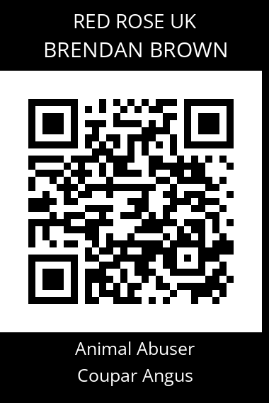 QR code for brendan-brown