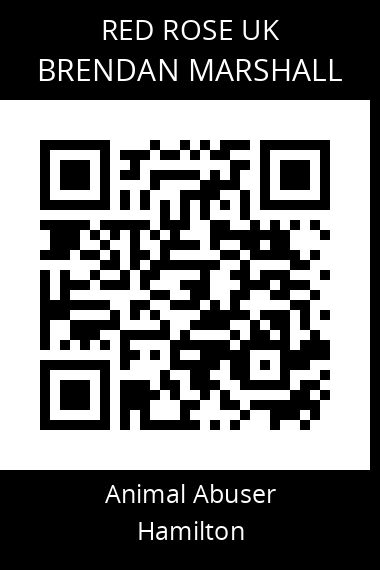 QR code for brendan-marshall