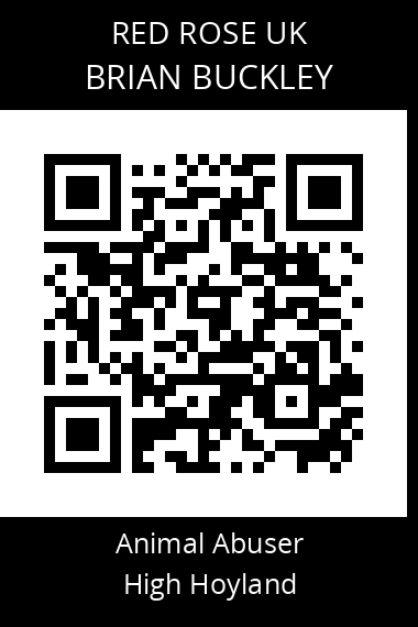 QR code for brian-buckley-1