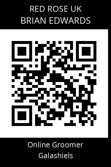 QR code for brian-edwards-4