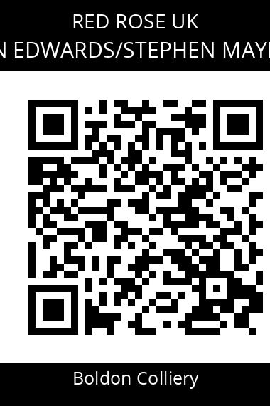 QR code for brian-edwardsstephen-maynard