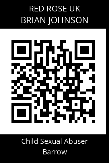 QR code for brian-johnson-2