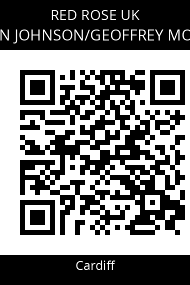 QR code for brian-johnsongeoffrey-morris