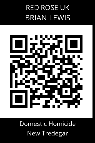 QR code for brian-lewis-2