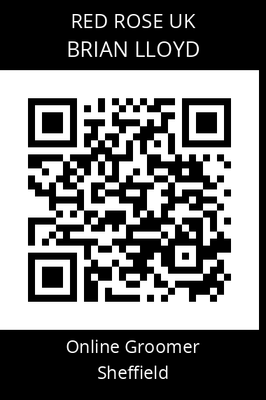 QR code for brian-lloyd-2