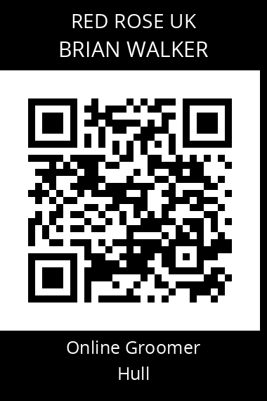QR code for brian-walker-1