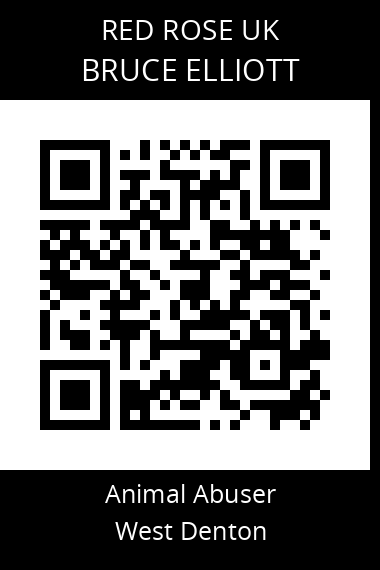 QR code for bruce-elliott