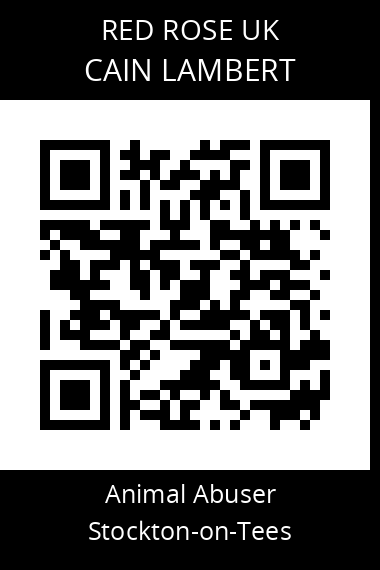 QR code for cain-lambert