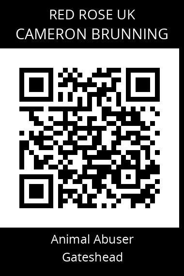QR code for cameron-brunning