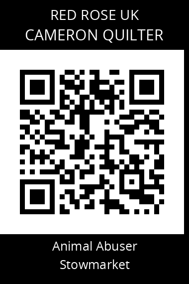 QR code for cameron-quilter
