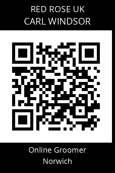 QR code for carl-windsor-1