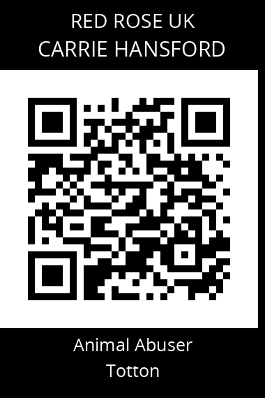 QR code for carrie-hansford