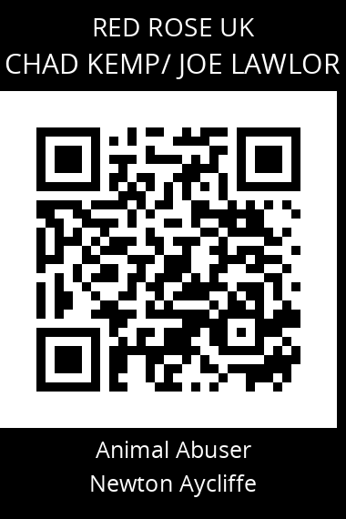 QR code for chad-kemp