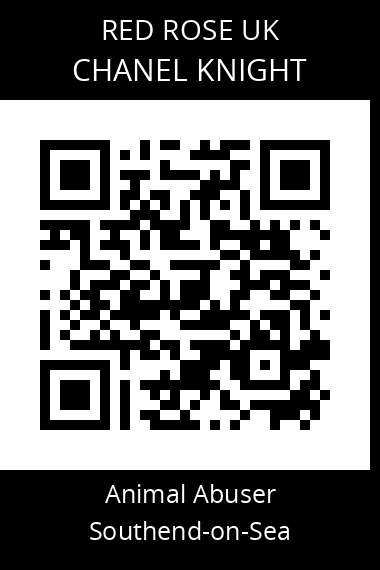 QR code for chanel-knight