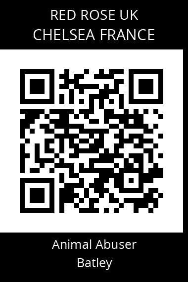 QR code for chelsea-france
