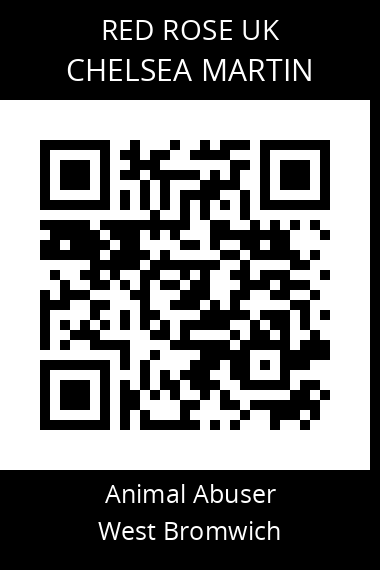 QR code for chelsea-martin