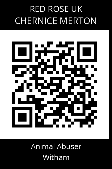 QR code for chernice-merton