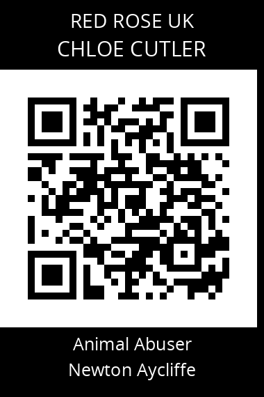 QR code for chloe-cutler