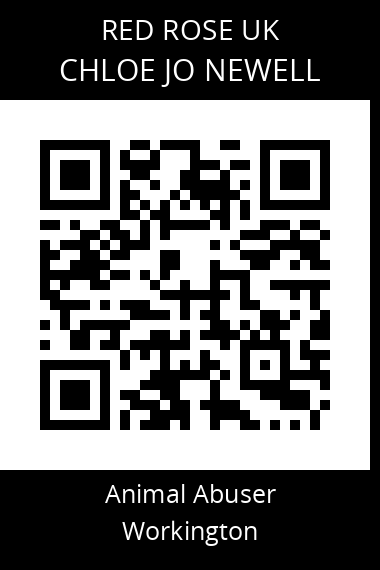 QR code for chloe-jo-newell