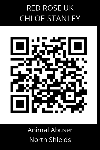 QR code for chloe-stanley
