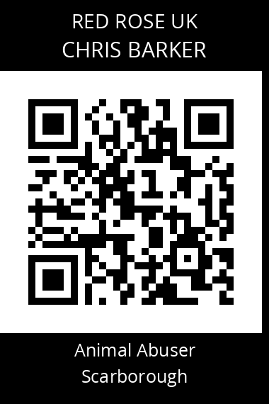 QR code for chris-barker