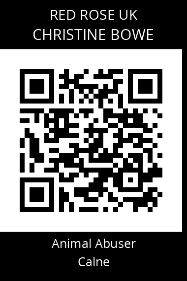 QR code for christine-bowe