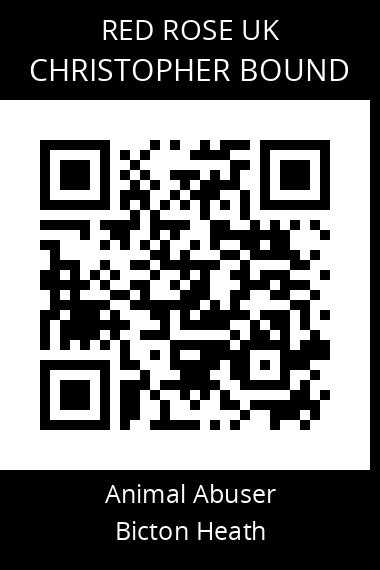 QR code for christopher-bound