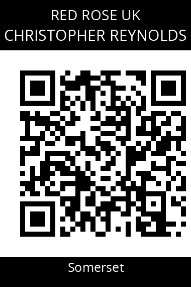 QR code for christopher-reynolds