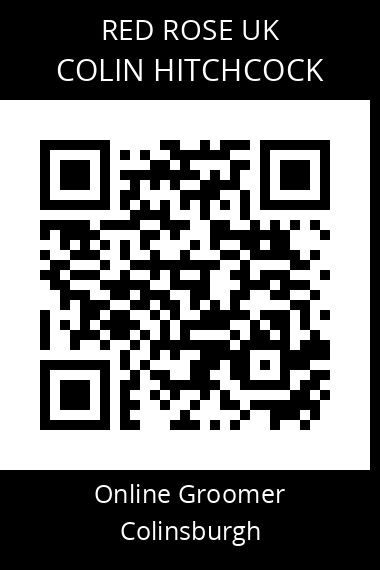 QR code for colin-hitchcock