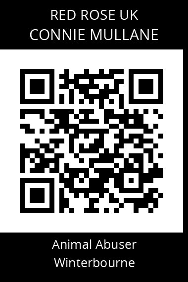 QR code for connie-mullane