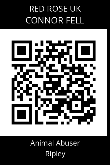 QR code for connor-fell