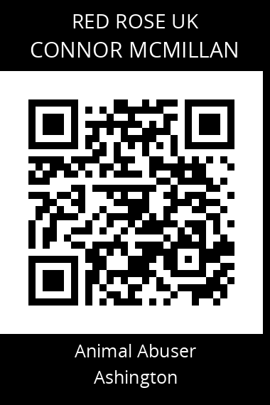 QR code for connor-mcmillan