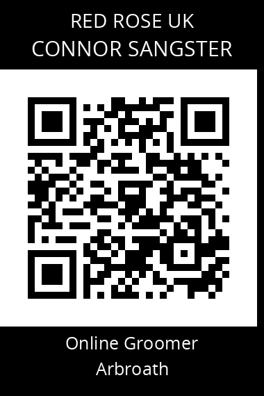 QR code for connor-sangster