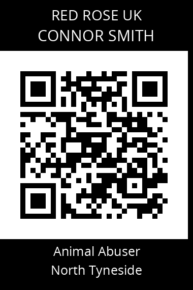 QR code for connor-smith-1