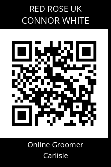QR code for connor-white-1