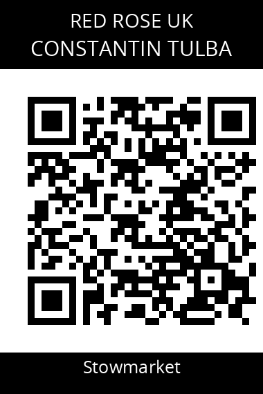 QR code for constantin-tulba-1