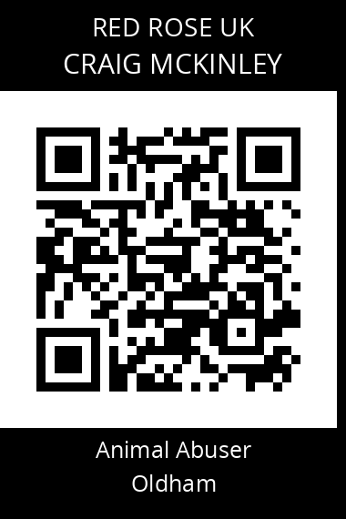 QR code for craig-mckinley