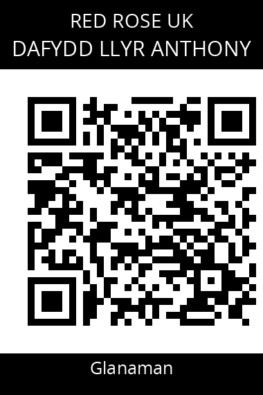 QR code for dafydd-llyr-anthony
