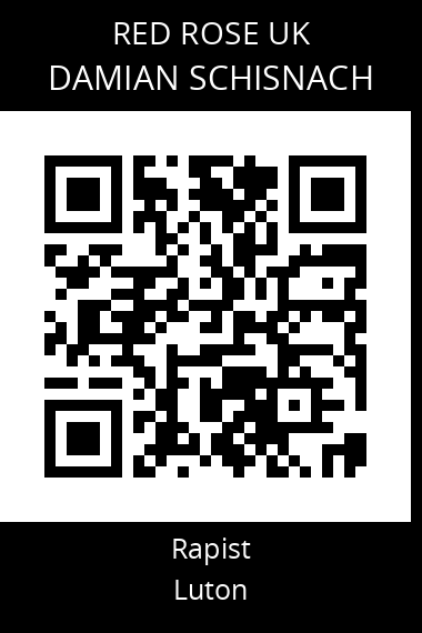 QR code for damian-schisnach