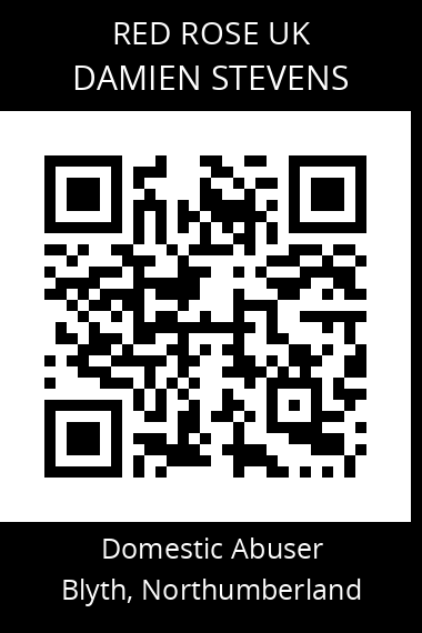 QR code for damien-stevens