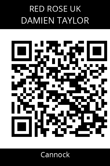 QR code for damien-taylor-x2pdje