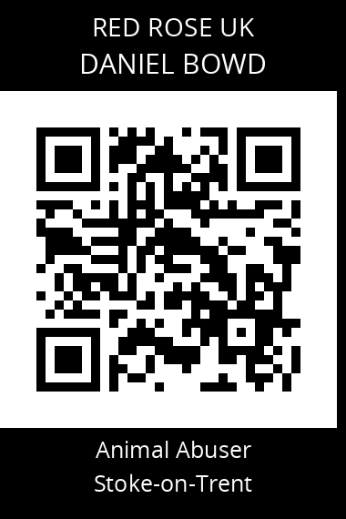 QR code for daniel-bowd