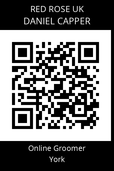 QR code for daniel-capper