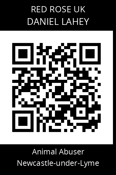QR code for daniel-lahey